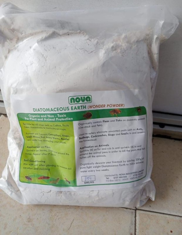 Diatomaceous Earth Insecticide Dust 1kg – Natural, Powerful, Safe Bed bugs & General Pest Killer 1kg