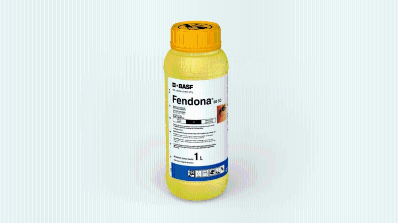 Fendona 60SC