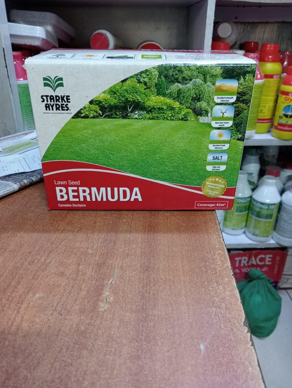 Starke Ayres BERMUDA LAWN GRASS (Cynodon dactylon) SEEDS